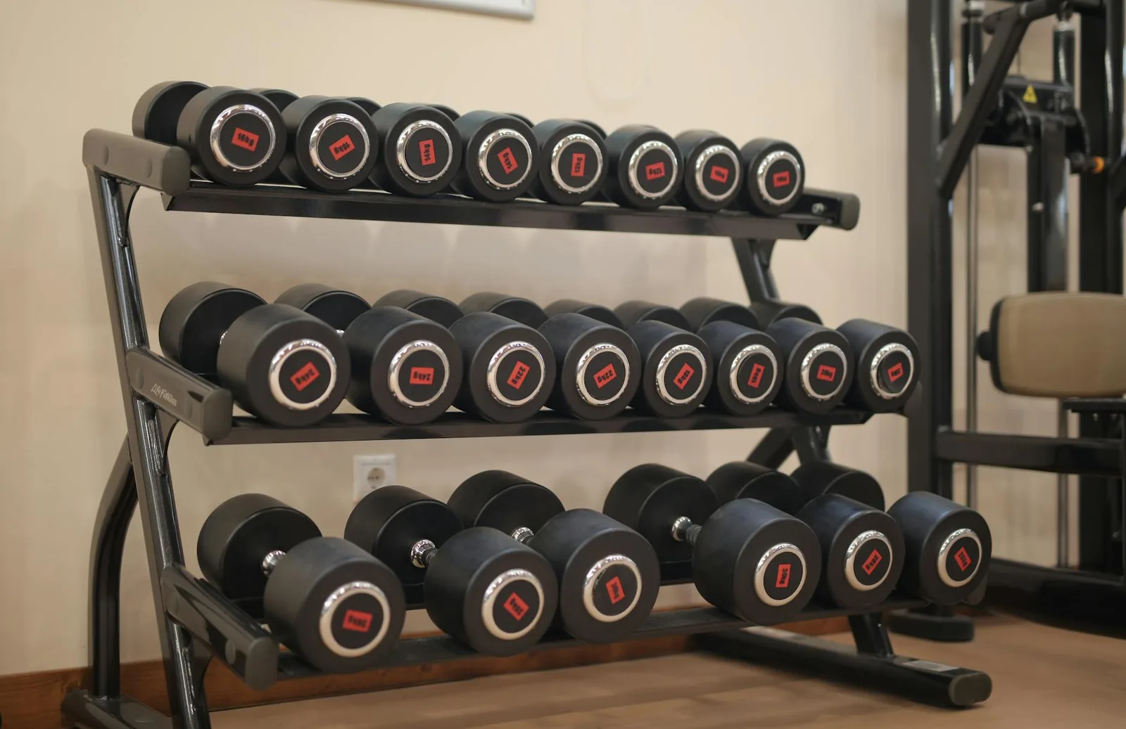 Rack of dumbbells in a gym workout space